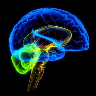  AleksanDerالكسندRudرود2000-2015 , Mariupol UA -Toronto CA, ©