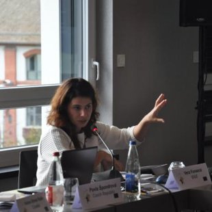  AleksanDerالكسندRudرود2000-2015 , Mariupol UA -Toronto CA, ©