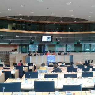  AleksanDerالكسندRudرود2000-2015 , Mariupol UA -Toronto CA, ©